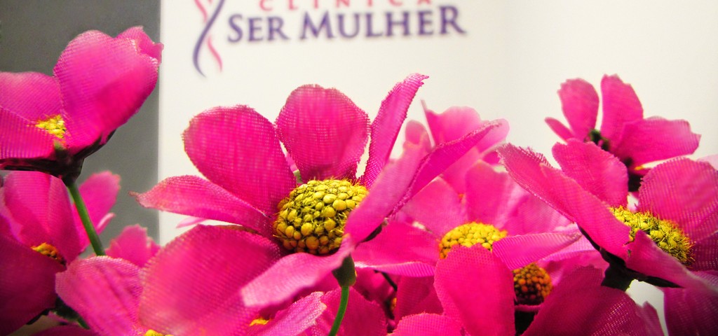 clinica-ser-mulher-logo_flores